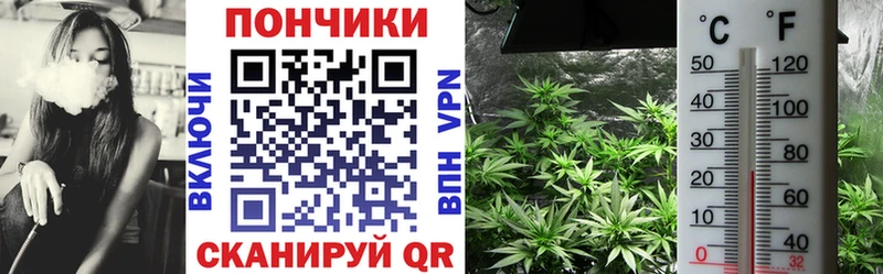 Купить наркотики цена Мурино ГАШИШ  Каннабис  Alpha PVP  Меф мяу мяу  COCAIN 