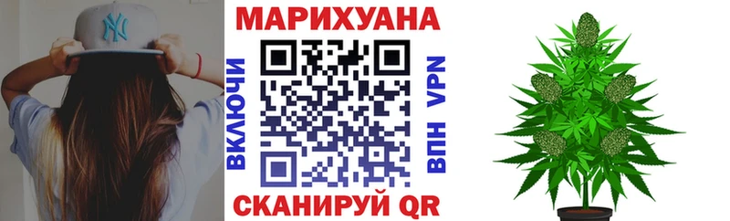 Марихуана гибрид  Мурино 